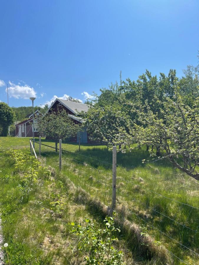 Lyckan - Minihus I Lantlig Miljoe Ulricehamn Exterior foto
